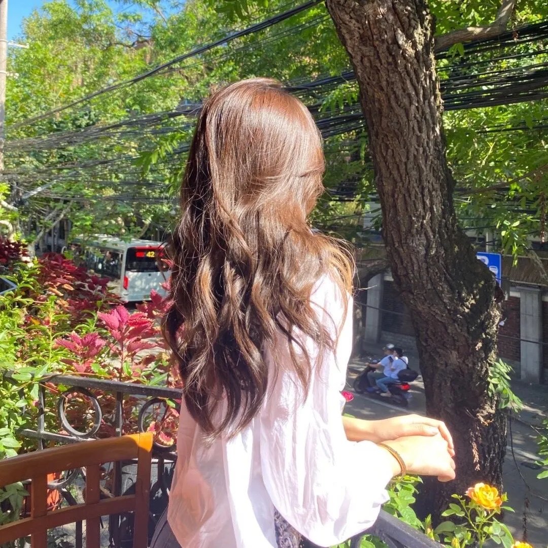 蜜蜂的秘密生活